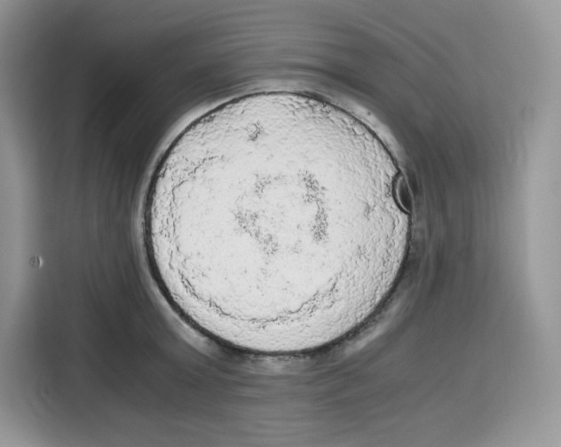 X0000115100803200911241232