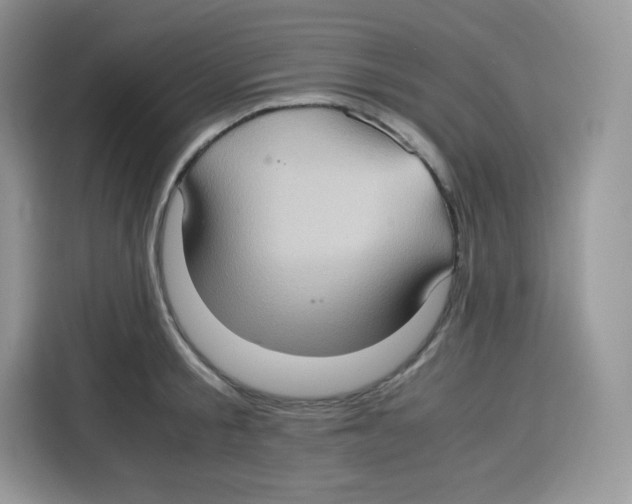 X0000115100805200911241232