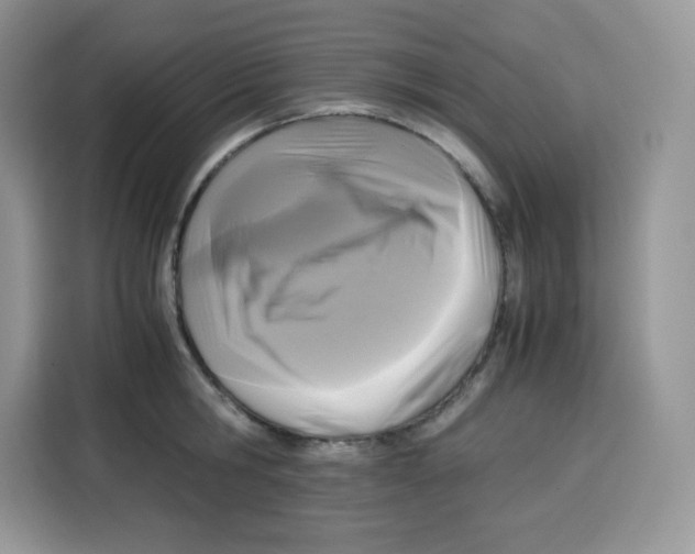 X0000115100806200911241232