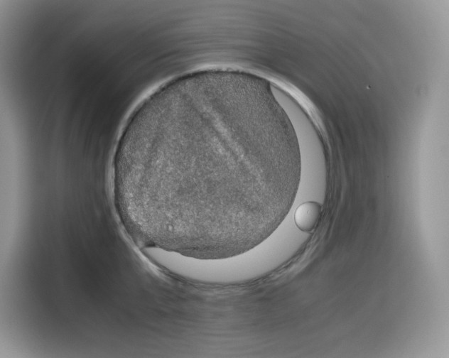 X0000115100807200911241232