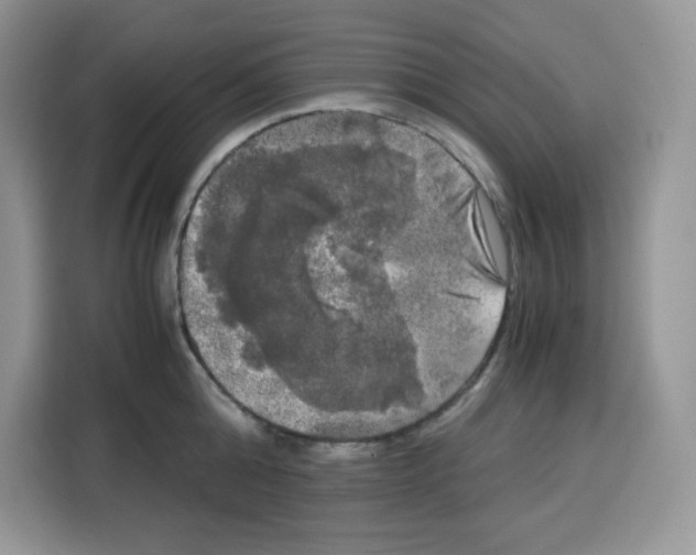 X0000115100808200911241232