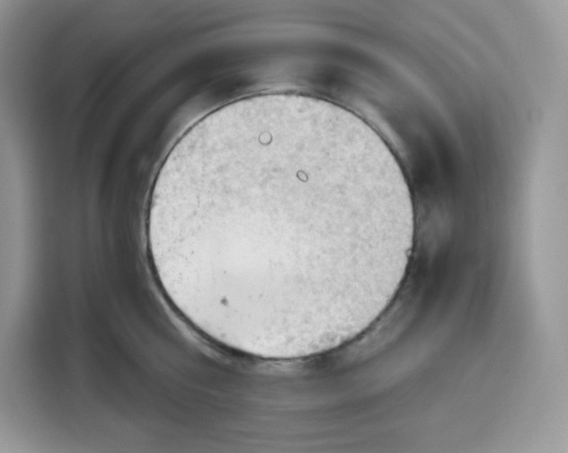 X0000115100810200911241232