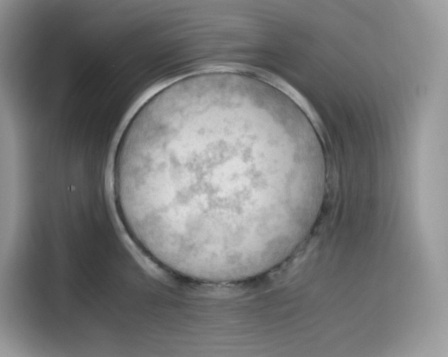 X0000115100811200911241232