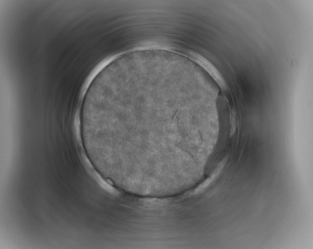 X0000115100812200911241232