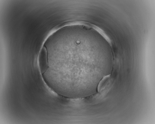 X0000115100813200911241232