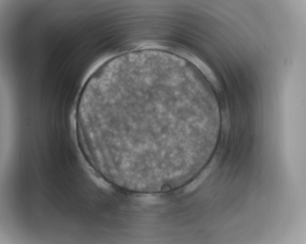 X0000115100814200911241232