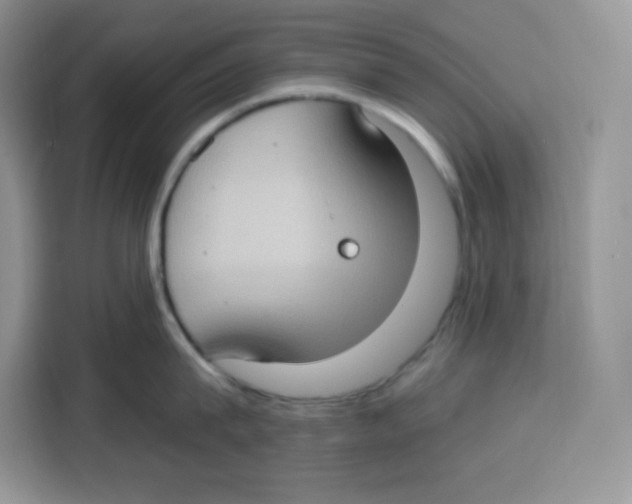 X0000115100815200911241232