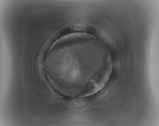 X0000115100817200911241232