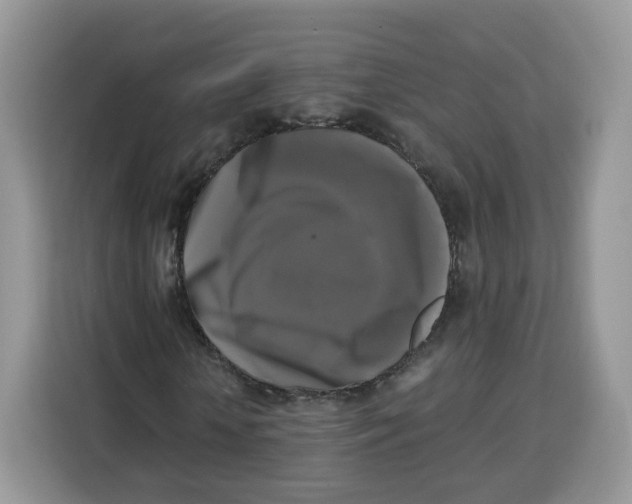 X0000115100818200911241232