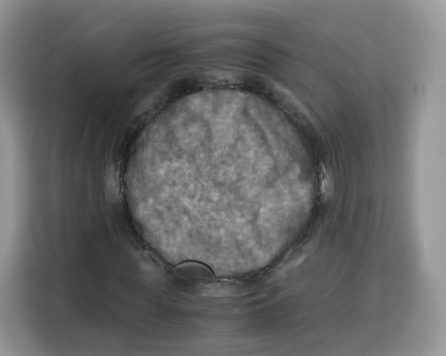 X0000115100819200911241232