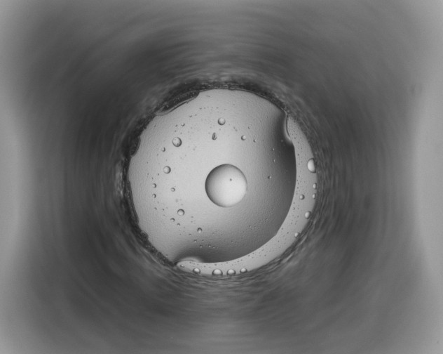 X0000115100820200911241232