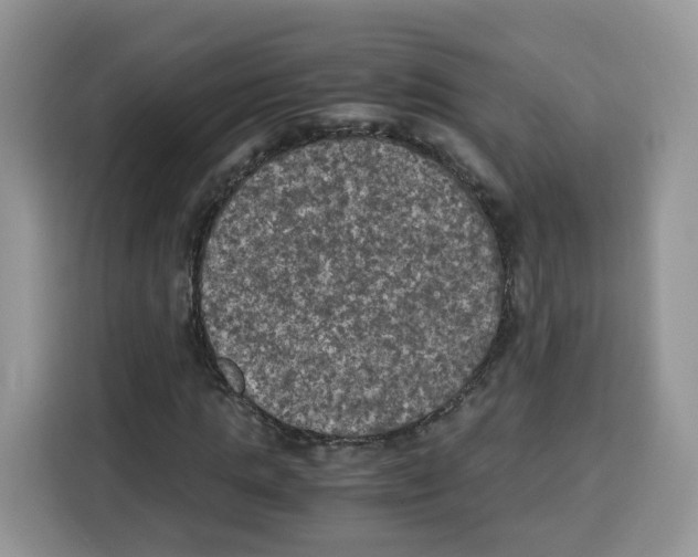 X0000115100821200911241232