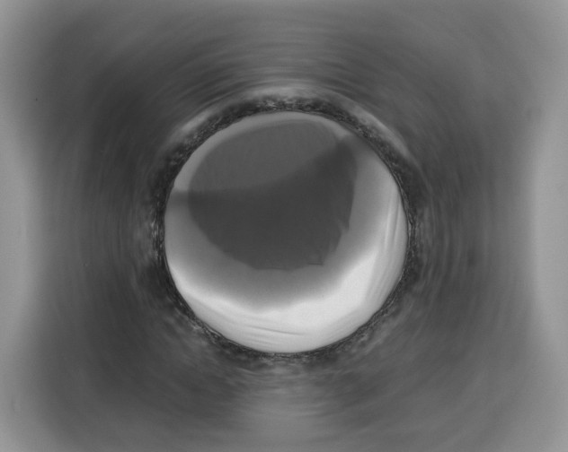 X0000115100822200911241232