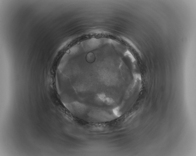 X0000115100823200911241232