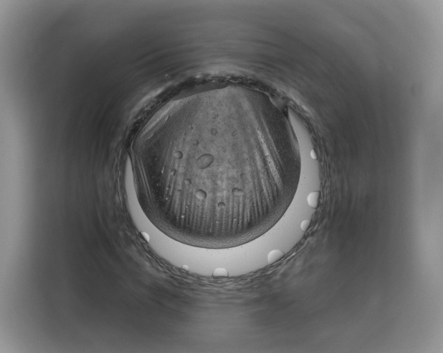 X0000115100824200911241232