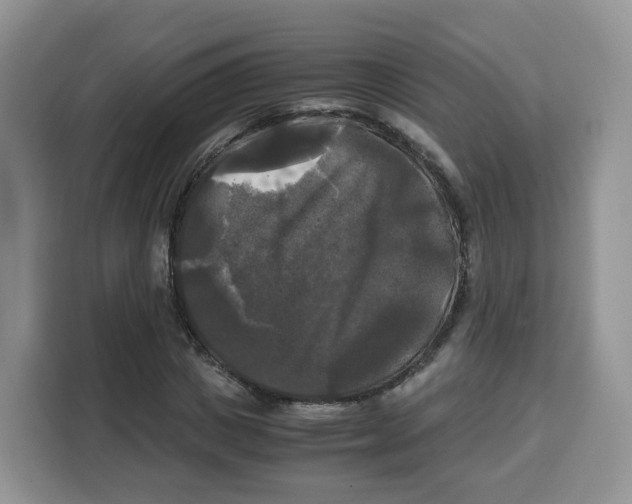 X0000115100825200911241232