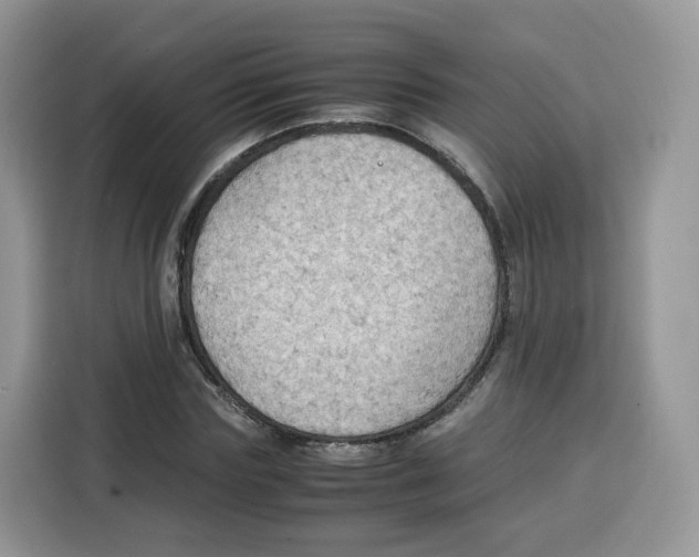 X0000115100827200911241232