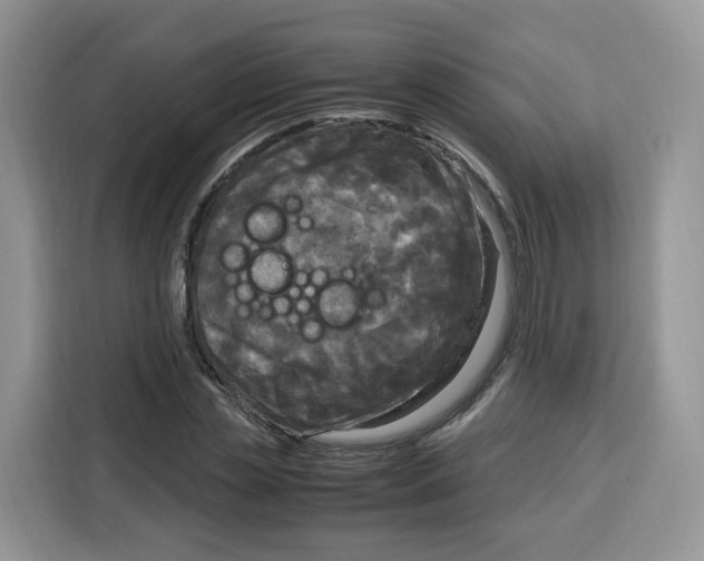 X0000115100829200911241232