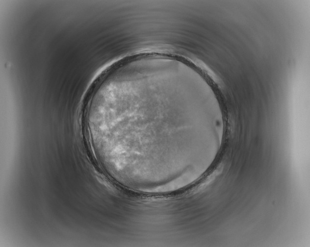 X0000115100830200911241232