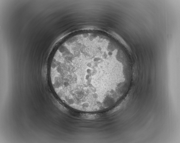 X0000115100831200911241232