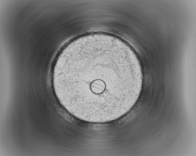 X0000115100832200911241232