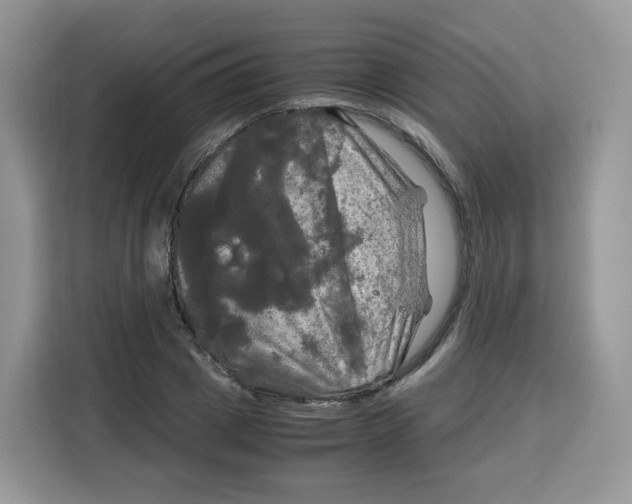 X0000115100833200911241232