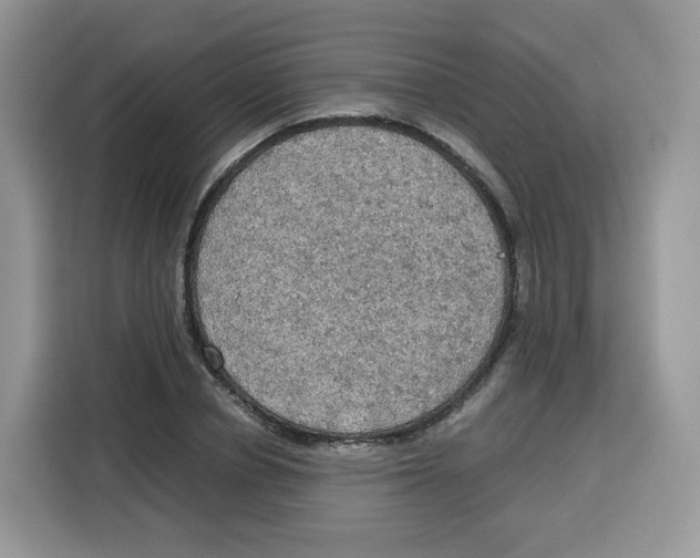 X0000115100834200911241232