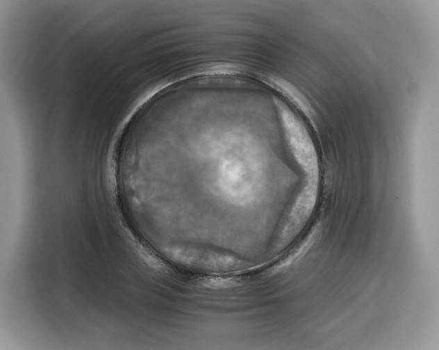 X0000115100835200911241232