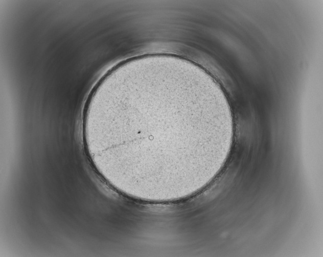 X0000115100836200911241232