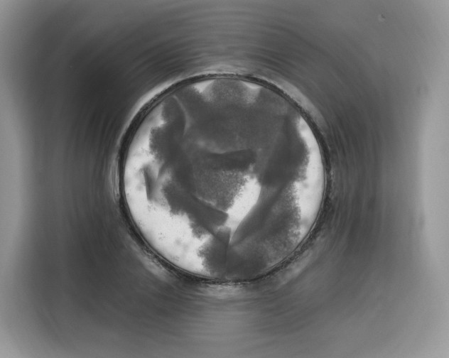 X0000115100838200911241232