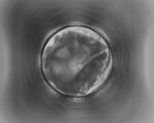 X0000115100839200911241232