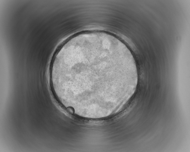 X0000115100840200911241232