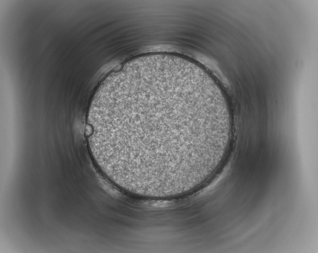 X0000115100841200911241232