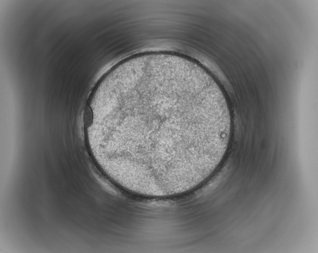 X0000115100842200911241232