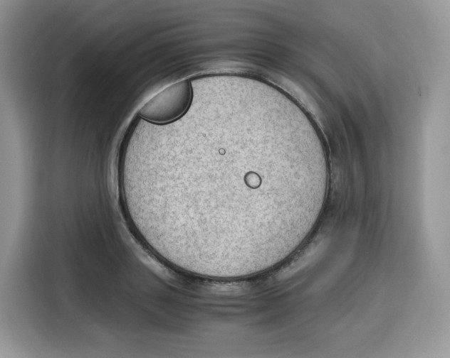 X0000115100843200911241232