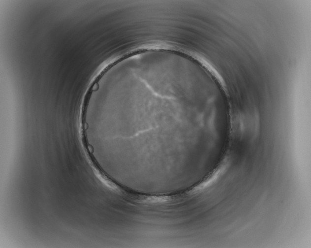 X0000115100845200911241232