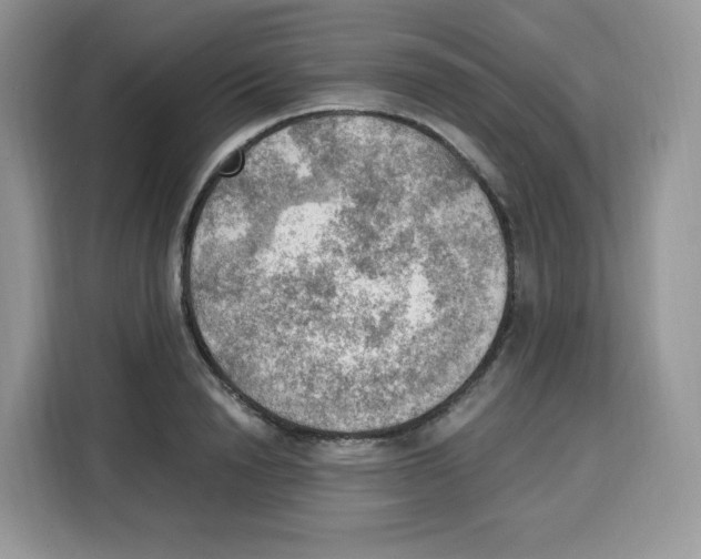 X0000115100846200911241232