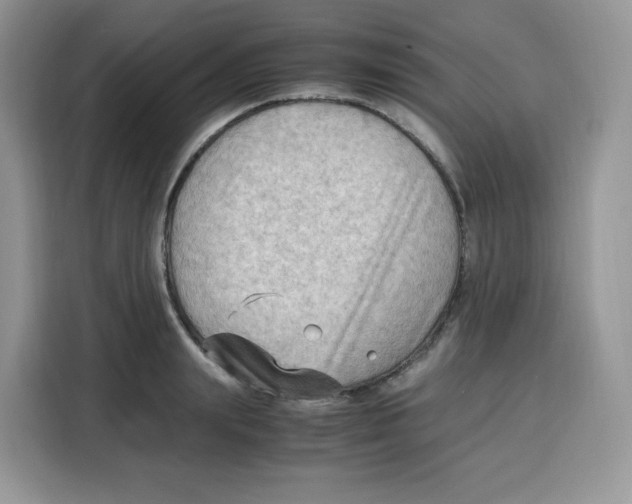 X0000115100847200911241232