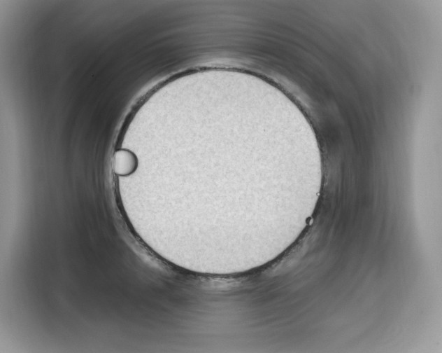 X0000115100848200911241232