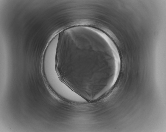 X0000115100850200911241232