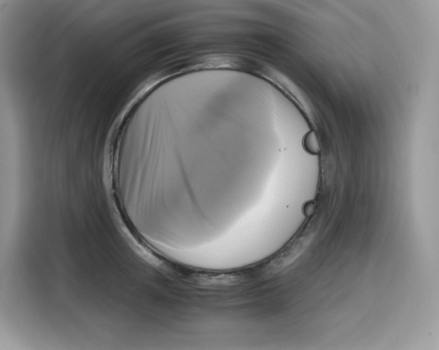 X0000115100851200911241232