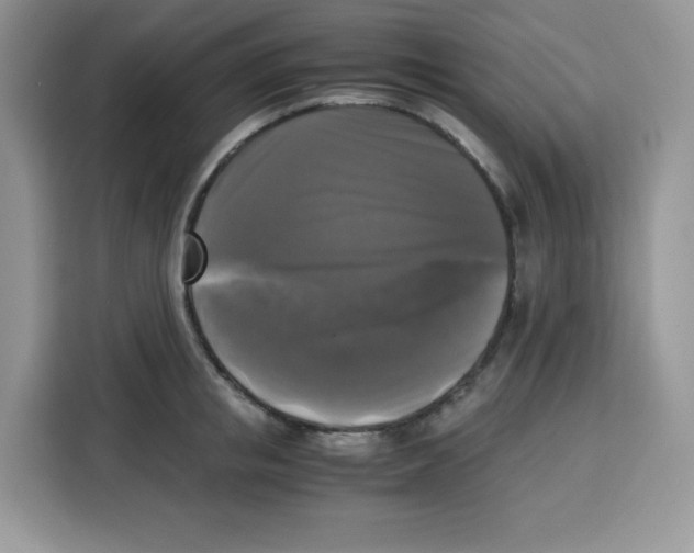 X0000115100853200911241232