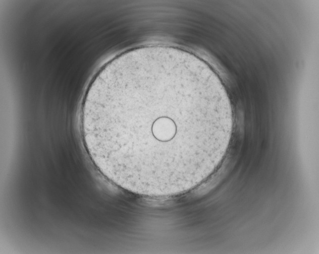 X0000115100856200911241232