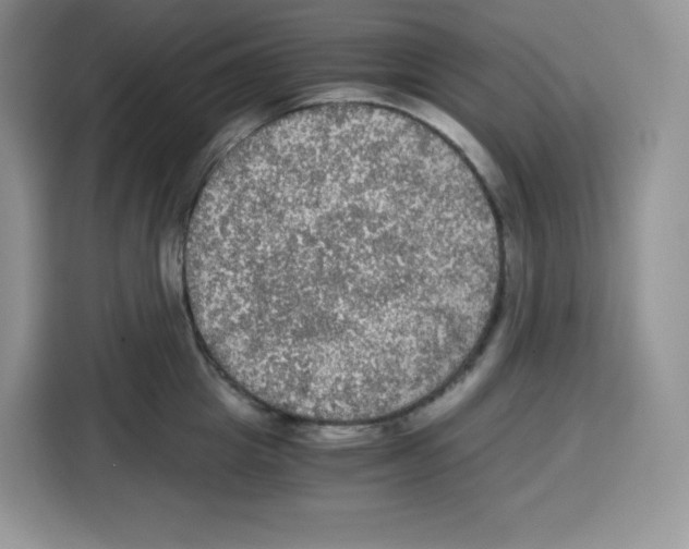 X0000115100857200911241232