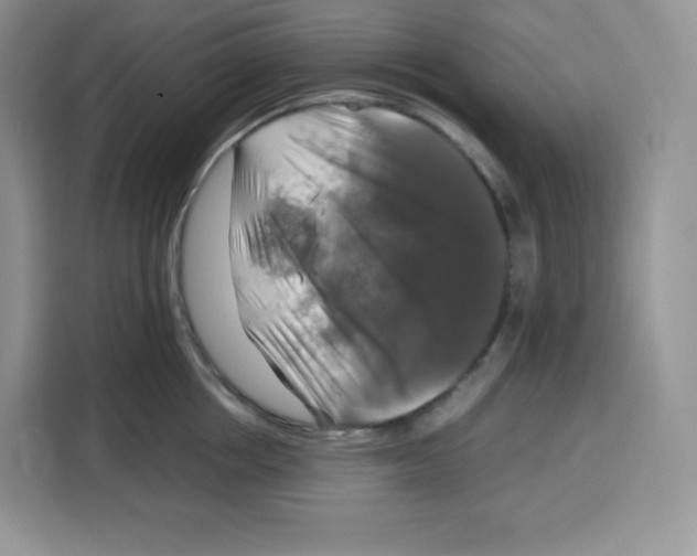 X0000115100858200911241232