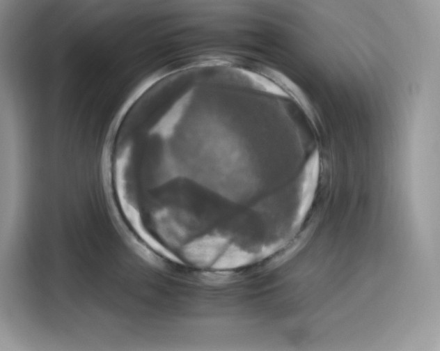 X0000115100859200911241232