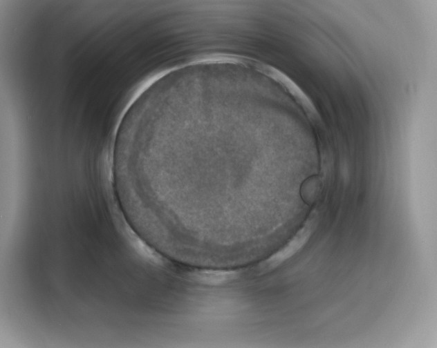 X0000115100860200911241232