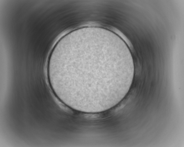 X0000115100861200911241232