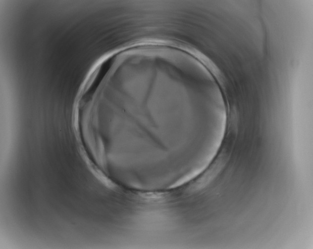 X0000115100862200911241232