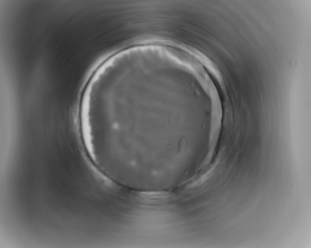 X0000115100863200911241232